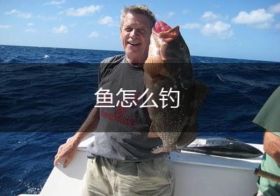 鱼怎么钓