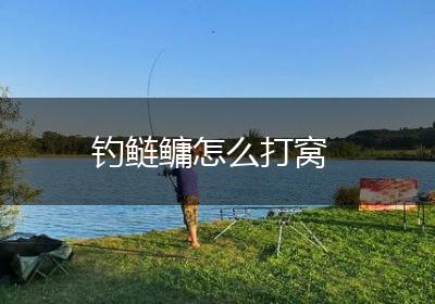 钓鲢鳙怎么打窝