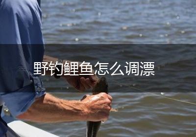 野钓鲤鱼怎么调漂