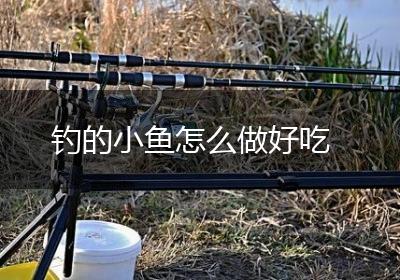 钓的小鱼怎么做好吃