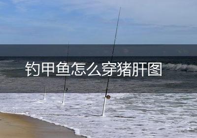 钓甲鱼怎么穿猪肝图