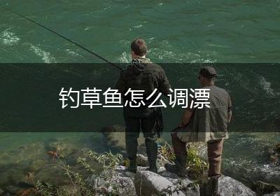 钓草鱼怎么调漂