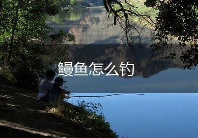 鳗鱼怎么钓
