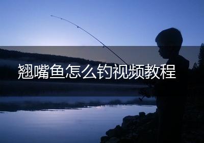 翘嘴鱼怎么钓视频教程