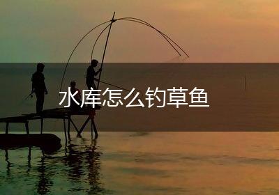 水库怎么钓草鱼