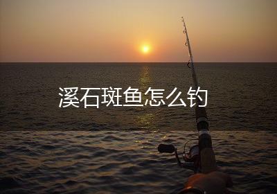 溪石斑鱼怎么钓