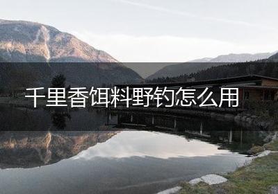 千里香饵料野钓怎么用