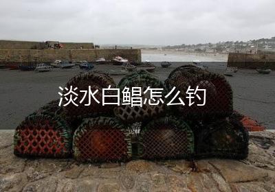 淡水白鲳怎么钓