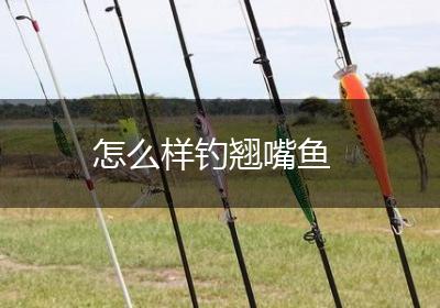 怎么样钓翘嘴鱼