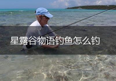 星露谷物语钓鱼怎么钓