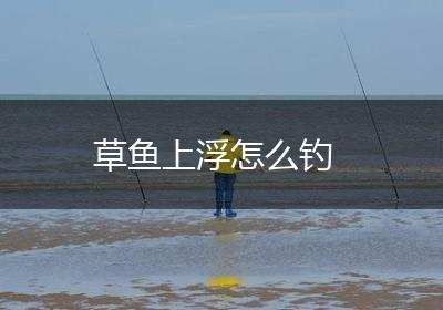 草鱼上浮怎么钓