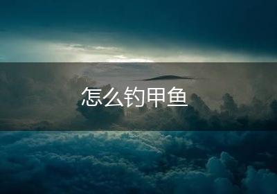 怎么钓甲鱼