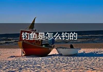 钓鱼是怎么钓的