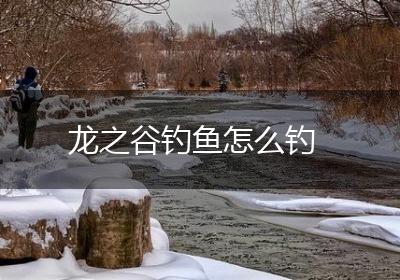 龙之谷钓鱼怎么钓