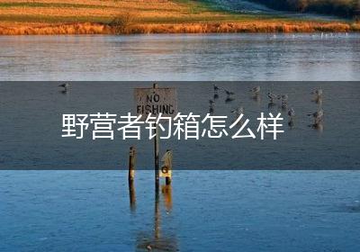 野营者钓箱怎么样