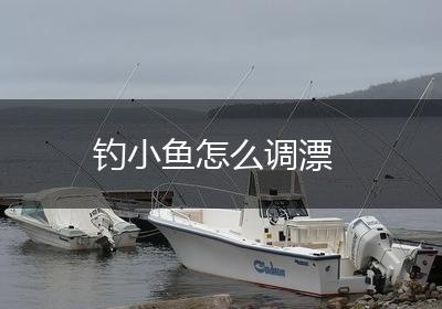 钓小鱼怎么调漂