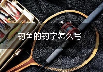 钓鱼的钓字怎么写