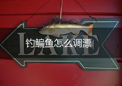 钓鳊鱼怎么调漂