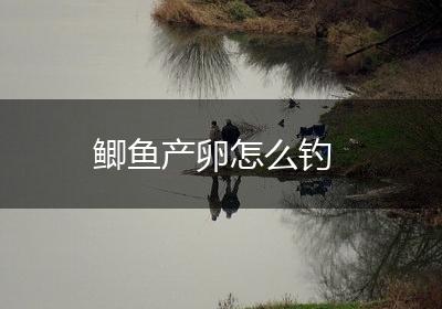 鲫鱼产卵怎么钓