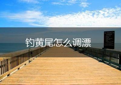 钓黄尾怎么调漂