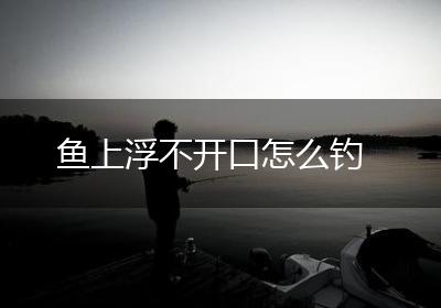 鱼上浮不开口怎么钓