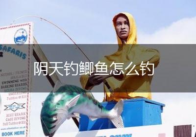 阴天钓鲫鱼怎么钓