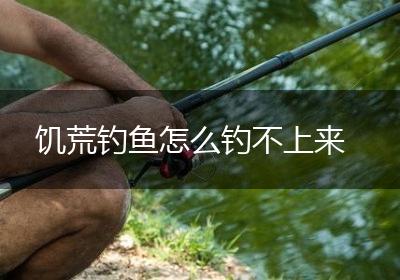 饥荒钓鱼怎么钓不上来