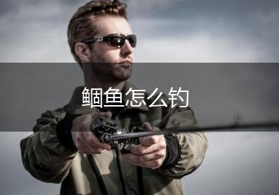 鲴鱼怎么钓