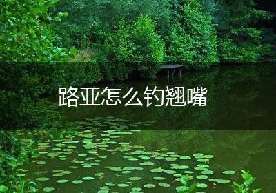 路亚怎么钓翘嘴