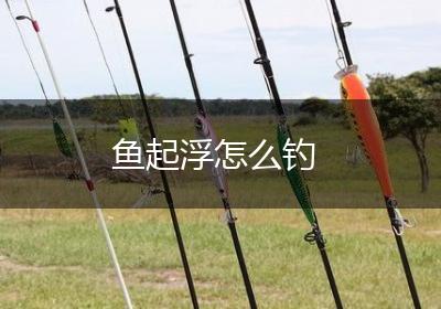 鱼起浮怎么钓