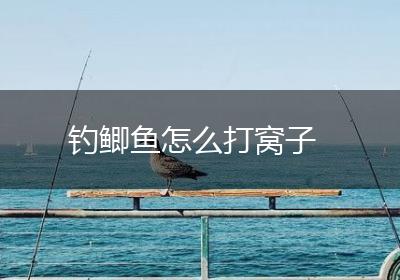 钓鲫鱼怎么打窝子