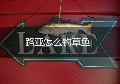 路亚怎么钓草鱼