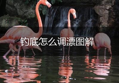 钓底怎么调漂图解