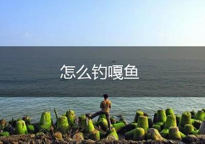 怎么钓嘎鱼