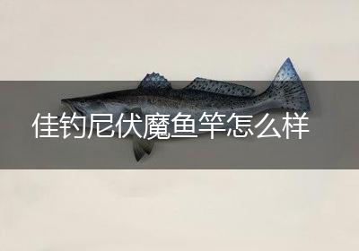 佳钓尼伏魔鱼竿怎么样