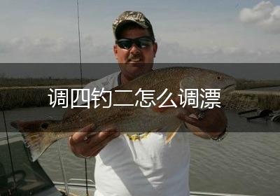 调四钓二怎么调漂