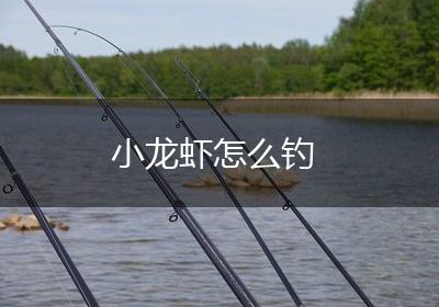 小龙虾怎么钓