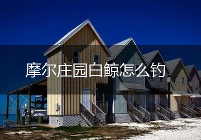 摩尔庄园白鲸怎么钓