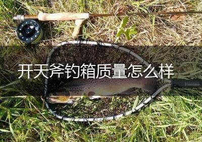 开天斧钓箱质量怎么样