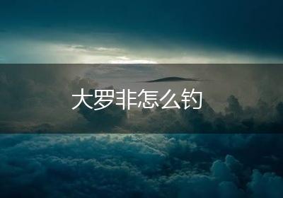 大罗非怎么钓