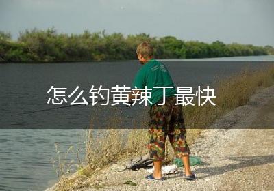 怎么钓黄辣丁最快