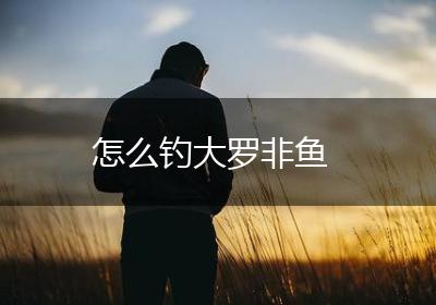 怎么钓大罗非鱼