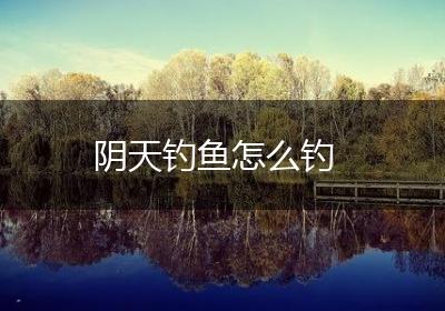 阴天钓鱼怎么钓