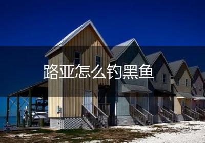 路亚怎么钓黑鱼