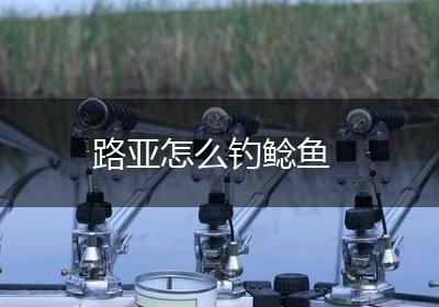 路亚怎么钓鲶鱼