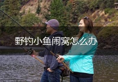 野钓小鱼闹窝怎么办