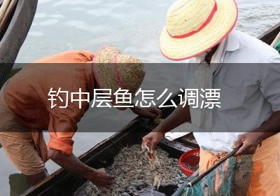 钓中层鱼怎么调漂
