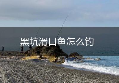 黑坑滑口鱼怎么钓