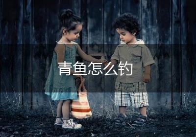 青鱼怎么钓