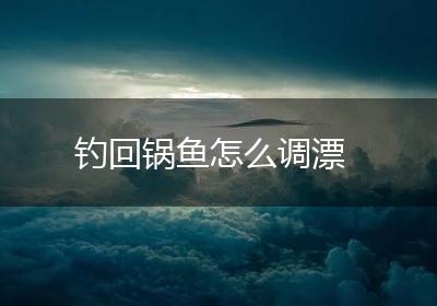 钓回锅鱼怎么调漂